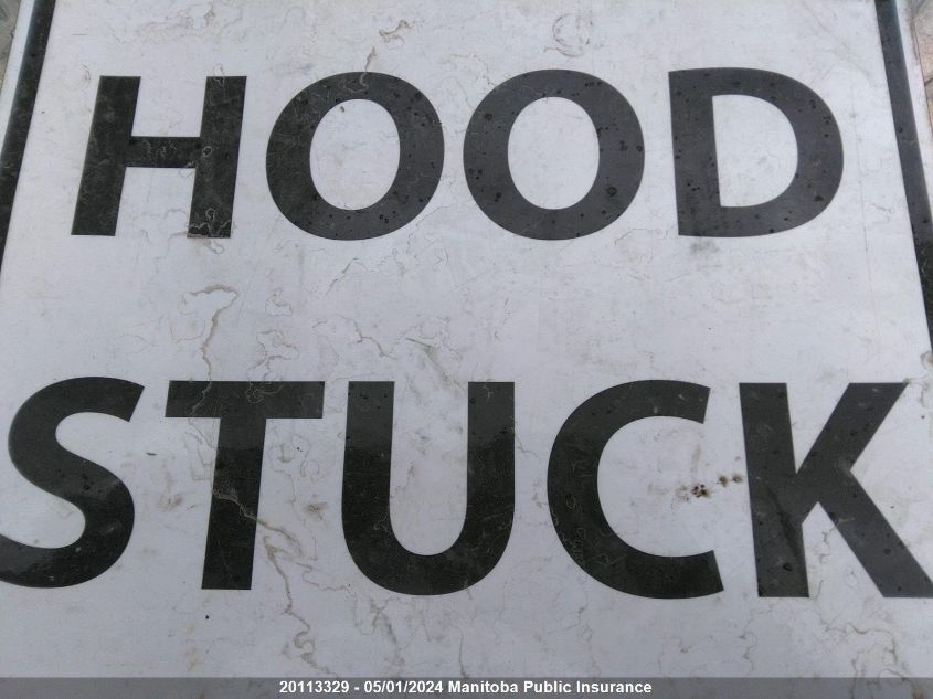 2003 Honda Element Dx VIN: 5J6YH18293L801627 Lot: 20113329