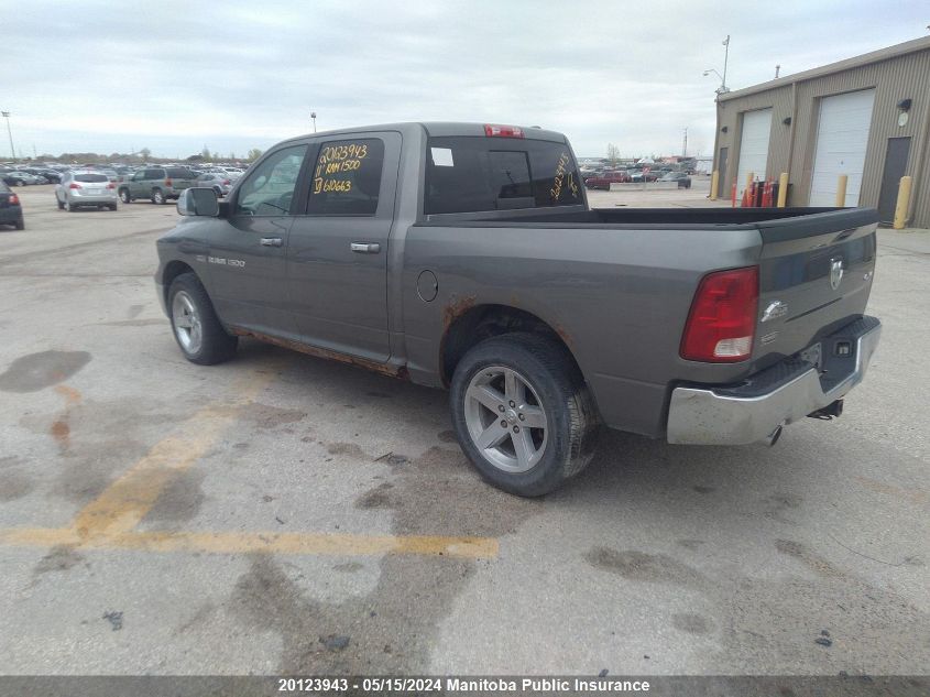 2011 Dodge Ram 1500 Big Horn Crew Cab VIN: 1D7RV1CT4BS610663 Lot: 20123943