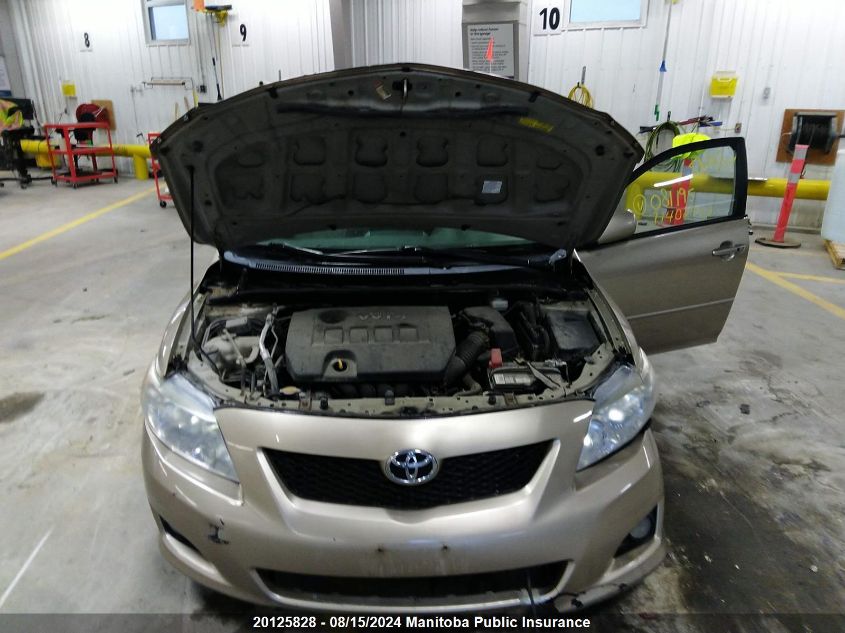 2009 Toyota Corolla Le VIN: 2T1BU40E09C081195 Lot: 20125828