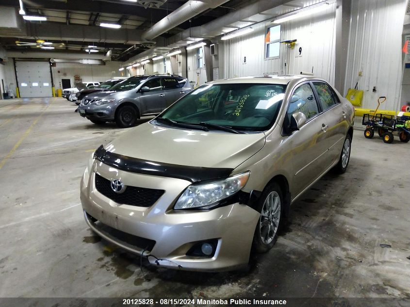 2009 Toyota Corolla Le VIN: 2T1BU40E09C081195 Lot: 20125828