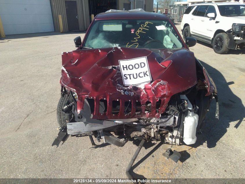 2019 Jeep Cherokee Sport VIN: 1C4PJLAB1KD175415 Lot: 20128134