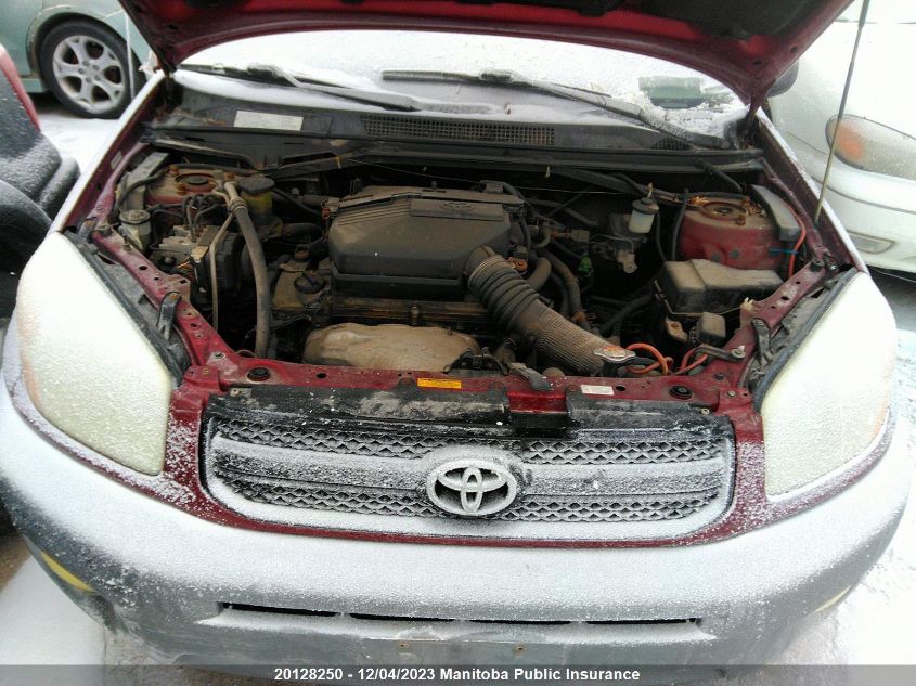 2004 Toyota Rav4 VIN: JTEHD20V740019838 Lot: 20128250