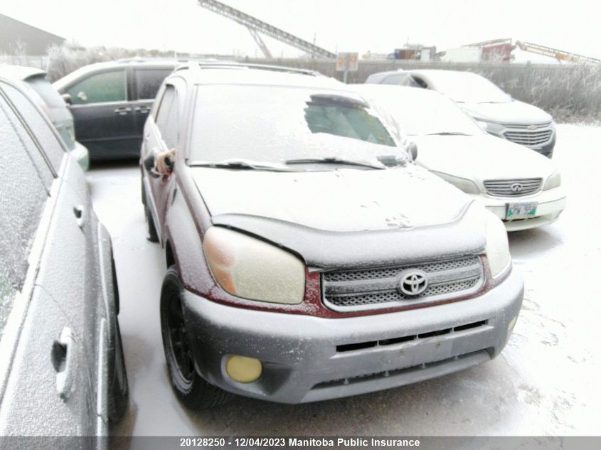 2004 Toyota Rav4 VIN: JTEHD20V740019838 Lot: 20128250