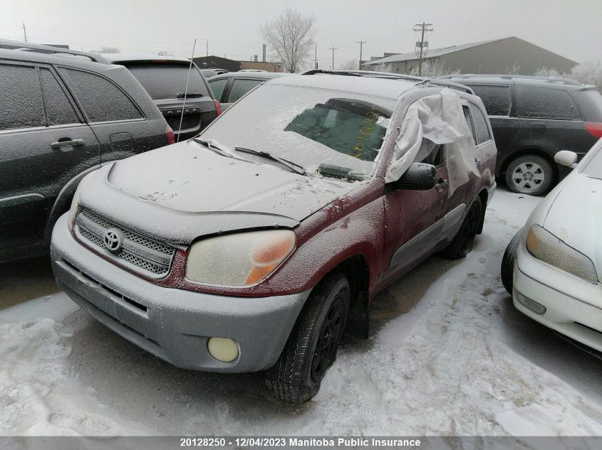 2004 Toyota Rav4 VIN: JTEHD20V740019838 Lot: 20128250