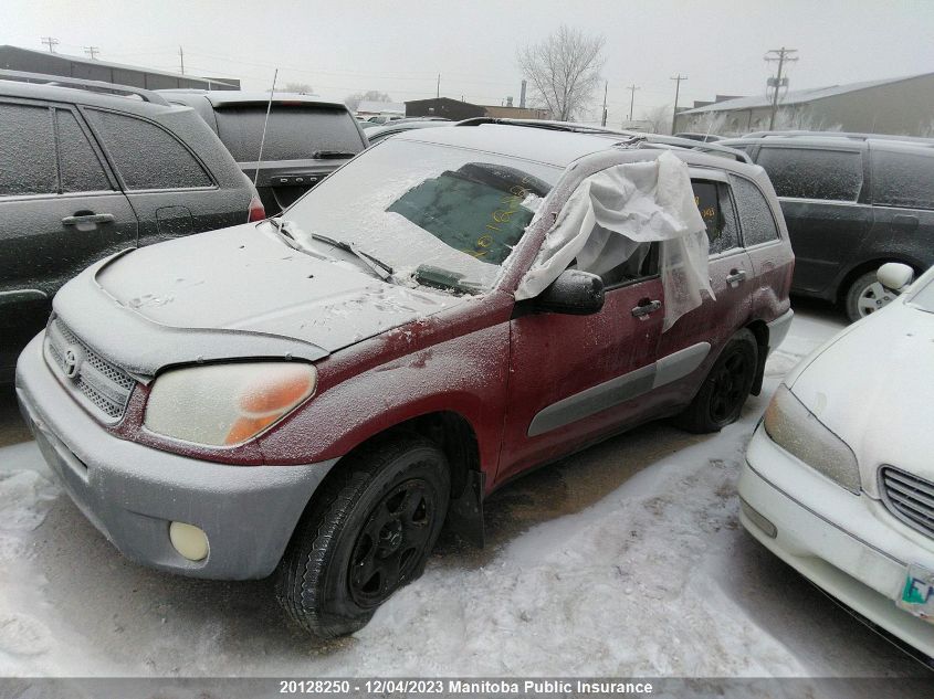 2004 Toyota Rav4 VIN: JTEHD20V740019838 Lot: 20128250