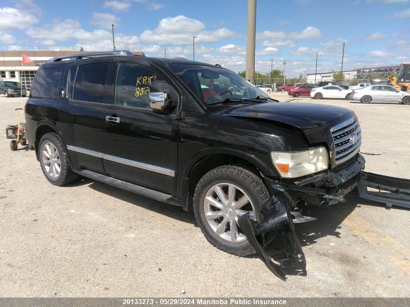 2010 Infiniti Qx56 VIN: 5N3ZA0NE6AN904922 Lot: 20133273