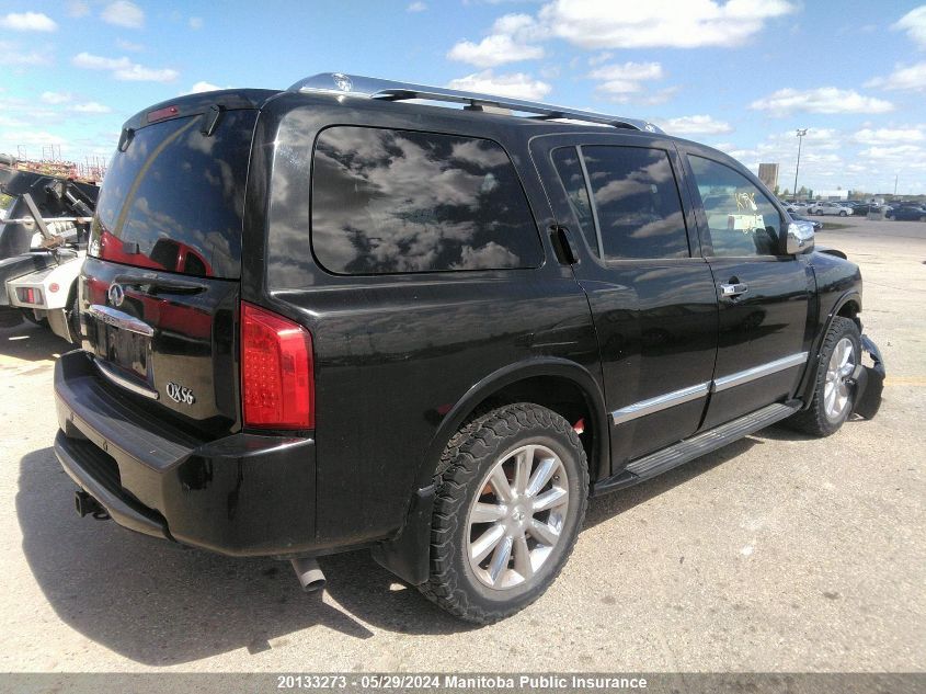 2010 Infiniti Qx56 VIN: 5N3ZA0NE6AN904922 Lot: 20133273