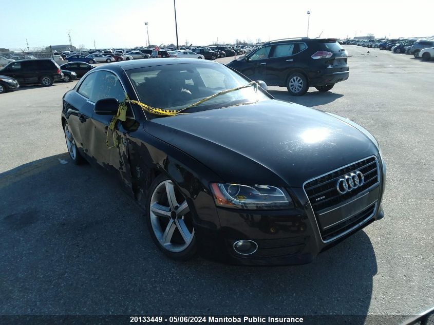 2009 Audi A5 VIN: WAUDK78T19A019566 Lot: 20133449