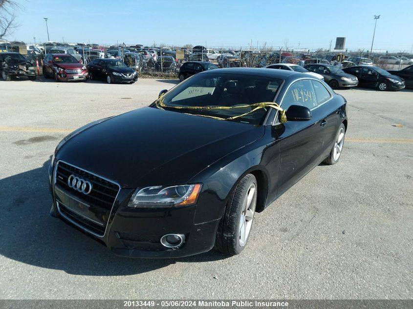 2009 Audi A5 VIN: WAUDK78T19A019566 Lot: 20133449