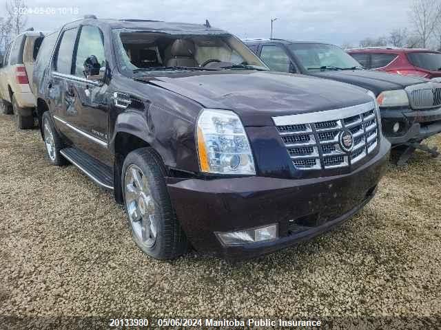 2009 Cadillac Escalade VIN: 1GYFK23219R214897 Lot: 20133980