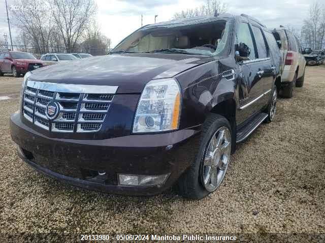 2009 Cadillac Escalade VIN: 1GYFK23219R214897 Lot: 20133980