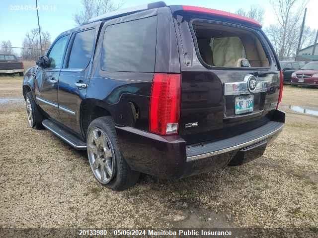 2009 Cadillac Escalade VIN: 1GYFK23219R214897 Lot: 20133980