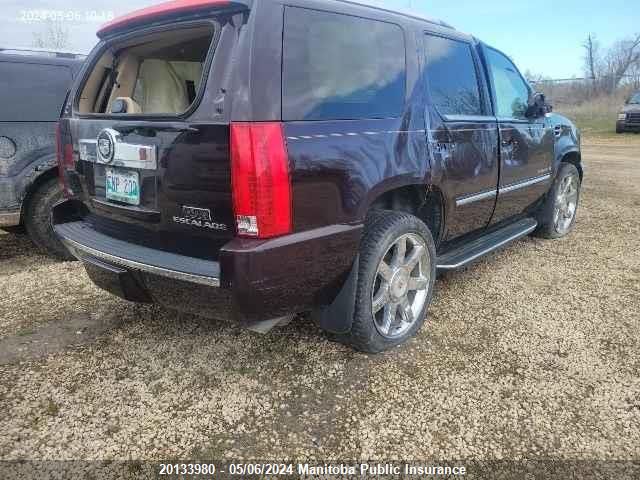 2009 Cadillac Escalade VIN: 1GYFK23219R214897 Lot: 20133980