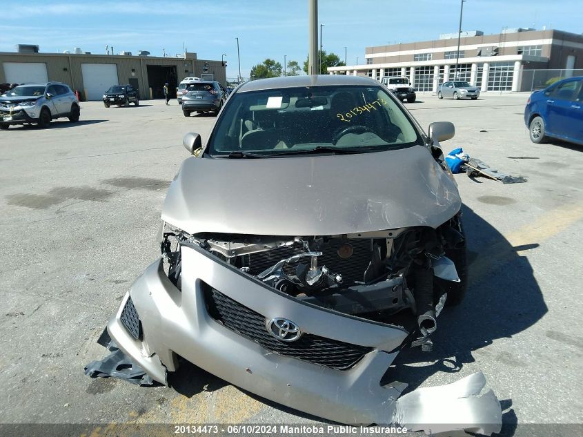 2010 Toyota Corolla S VIN: 2T1BU4EE4AC318784 Lot: 20134473