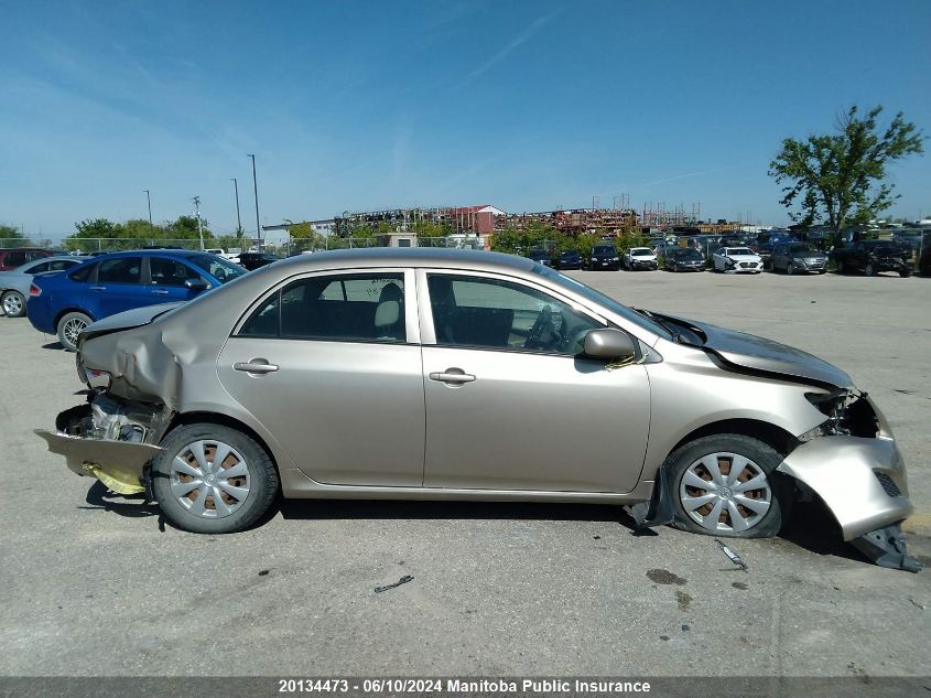 2010 Toyota Corolla S VIN: 2T1BU4EE4AC318784 Lot: 20134473