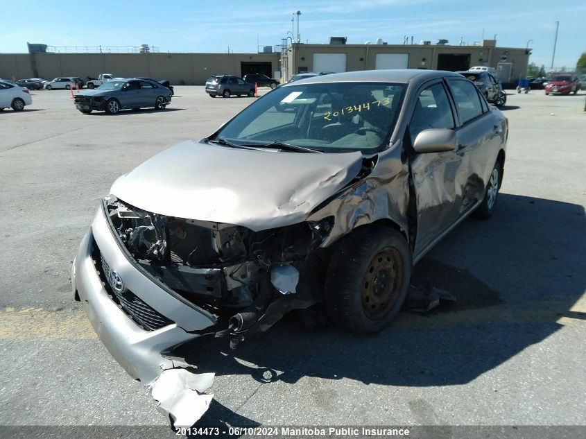 2010 Toyota Corolla S VIN: 2T1BU4EE4AC318784 Lot: 20134473