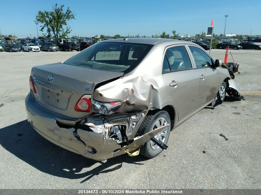 2010 Toyota Corolla S VIN: 2T1BU4EE4AC318784 Lot: 20134473