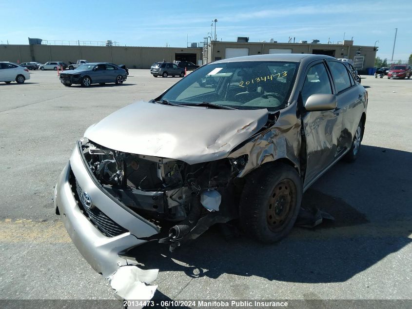 2010 Toyota Corolla S VIN: 2T1BU4EE4AC318784 Lot: 20134473