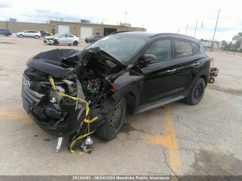 2017 Hyundai Tucson 1.6T VIN: KM8J3CA24HU455799 Lot: 20134593