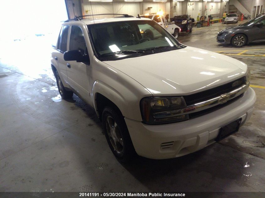 2007 Chevrolet Trailblazer Ls VIN: 1GNDT13SX72224720 Lot: 20141191