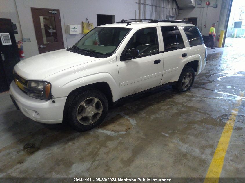 2007 Chevrolet Trailblazer Ls VIN: 1GNDT13SX72224720 Lot: 20141191