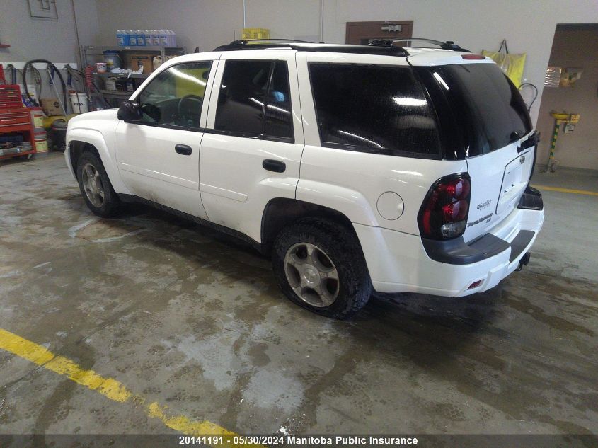 2007 Chevrolet Trailblazer Ls VIN: 1GNDT13SX72224720 Lot: 20141191