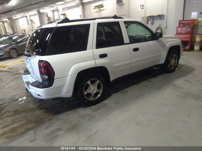 2007 Chevrolet Trailblazer Ls VIN: 1GNDT13SX72224720 Lot: 20141191