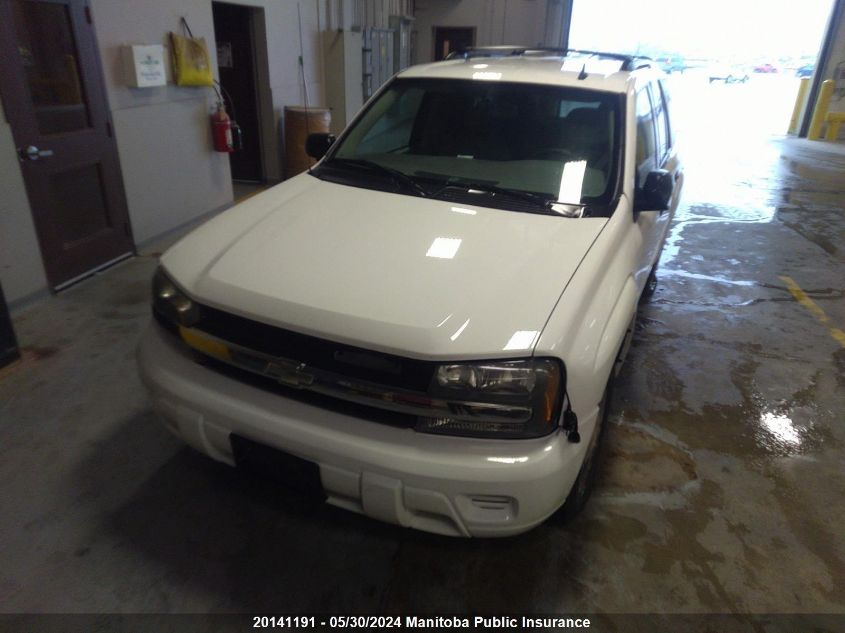 2007 Chevrolet Trailblazer Ls VIN: 1GNDT13SX72224720 Lot: 20141191