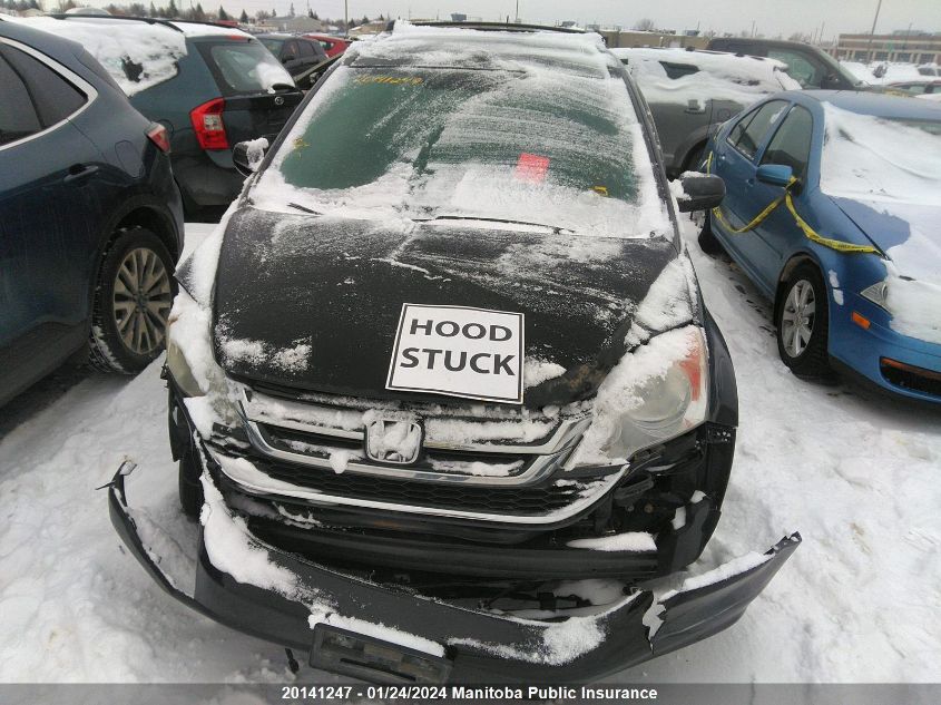 2010 Honda Cr-V Ex-L VIN: 5J6RE4H75AL806511 Lot: 20141247