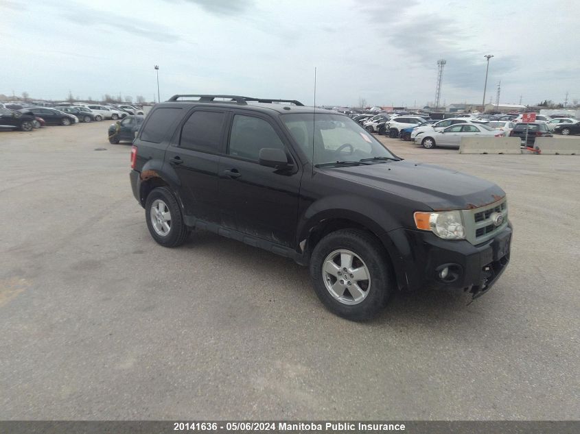 2011 Ford Escape Xlt VIN: 1FMCU0D7XBKB16575 Lot: 20141636