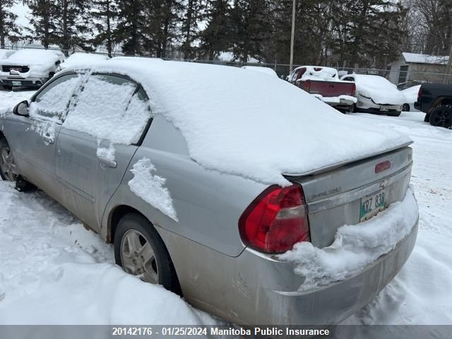 2005 Chevrolet Malibu VIN: 1G1ZS52F45F300623 Lot: 20142176