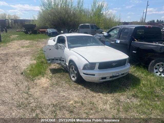 2005 Ford Mustang VIN: 1ZVFT80N055195648 Lot: 20143968