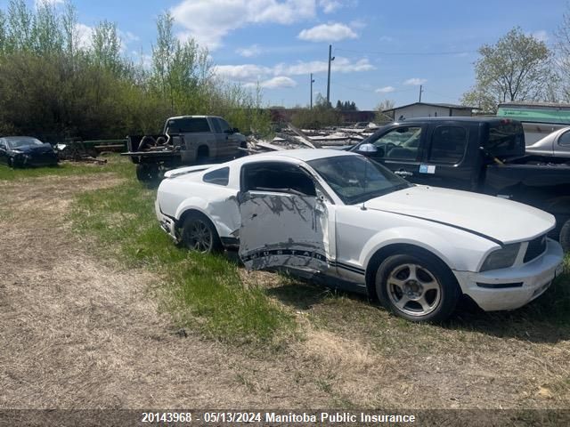 2005 Ford Mustang VIN: 1ZVFT80N055195648 Lot: 20143968