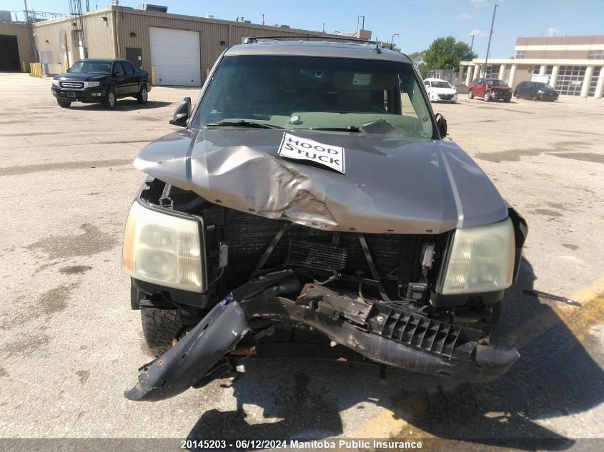 2003 Cadillac Escalade VIN: 1GYEK63N83R196659 Lot: 20145203