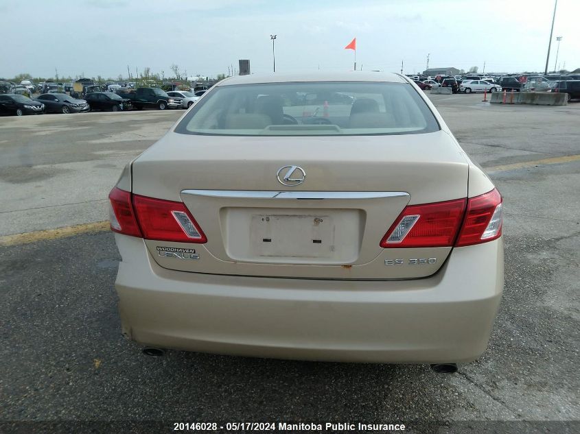 2007 Lexus Es 350 VIN: JTHBJ46GX72004863 Lot: 20146028