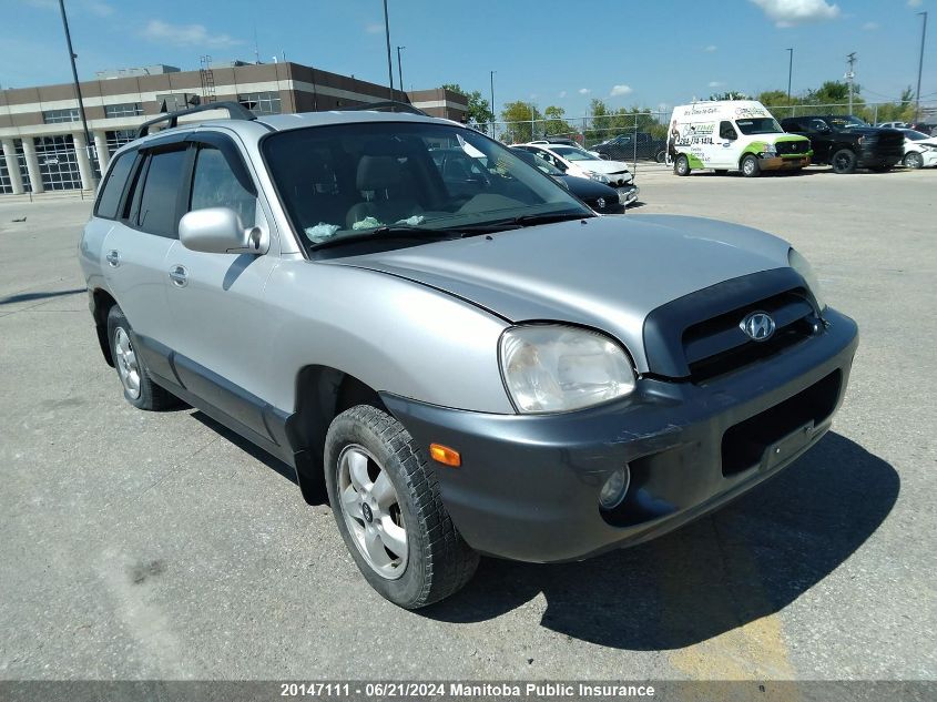 2006 Hyundai Santa Fe Gls VIN: KM8SB73E06U110370 Lot: 20147111