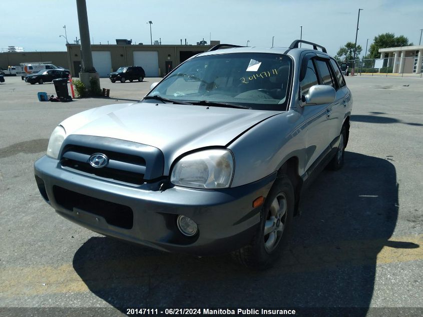 2006 Hyundai Santa Fe Gls VIN: KM8SB73E06U110370 Lot: 20147111