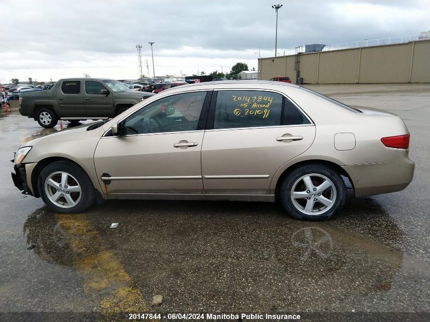 2005 Honda Accord Ex-L VIN: 1HGCM56645A801091 Lot: 20147844