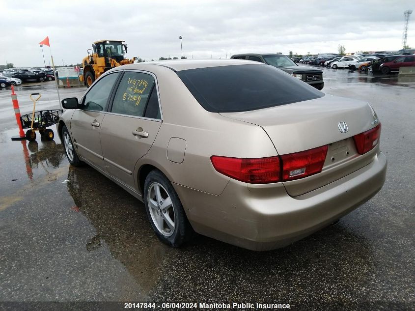 2005 Honda Accord Ex-L VIN: 1HGCM56645A801091 Lot: 20147844