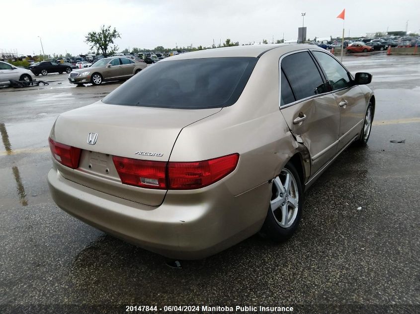 2005 Honda Accord Ex-L VIN: 1HGCM56645A801091 Lot: 20147844