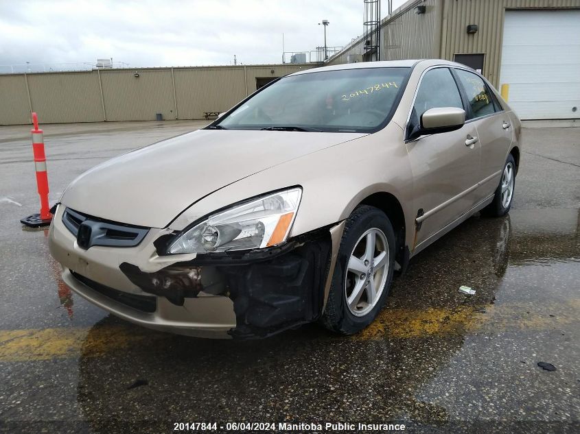 2005 Honda Accord Ex-L VIN: 1HGCM56645A801091 Lot: 20147844
