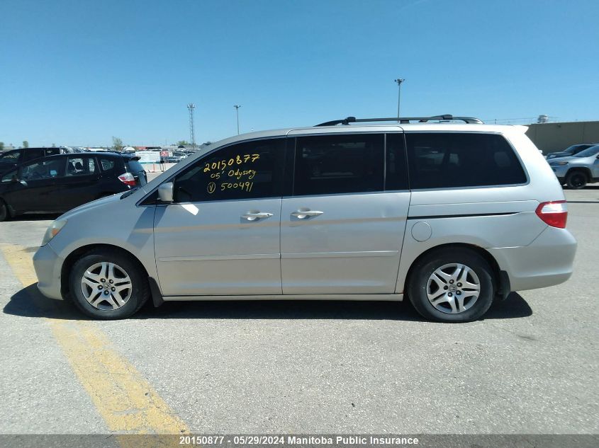 2005 Honda Odyssey Touring VIN: 5FNRL38885B500491 Lot: 20150877