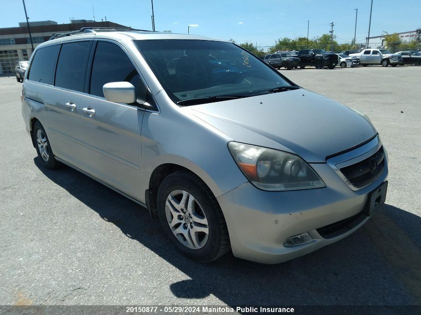 2005 Honda Odyssey Touring VIN: 5FNRL38885B500491 Lot: 20150877