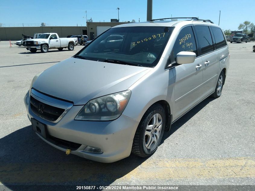 2005 Honda Odyssey Touring VIN: 5FNRL38885B500491 Lot: 20150877