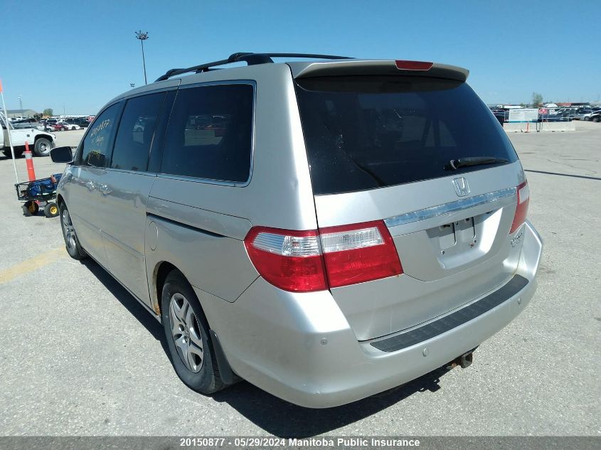 2005 Honda Odyssey Touring VIN: 5FNRL38885B500491 Lot: 20150877