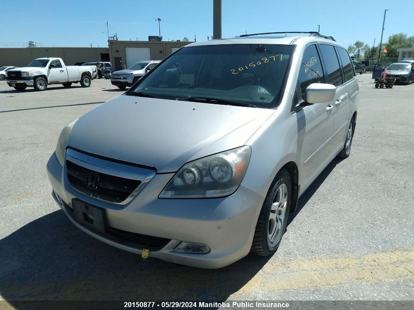 2005 Honda Odyssey Touring VIN: 5FNRL38885B500491 Lot: 20150877