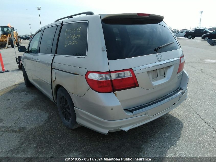 2005 Honda Odyssey Touring VIN: 5FNRL388X5B508110 Lot: 20151835