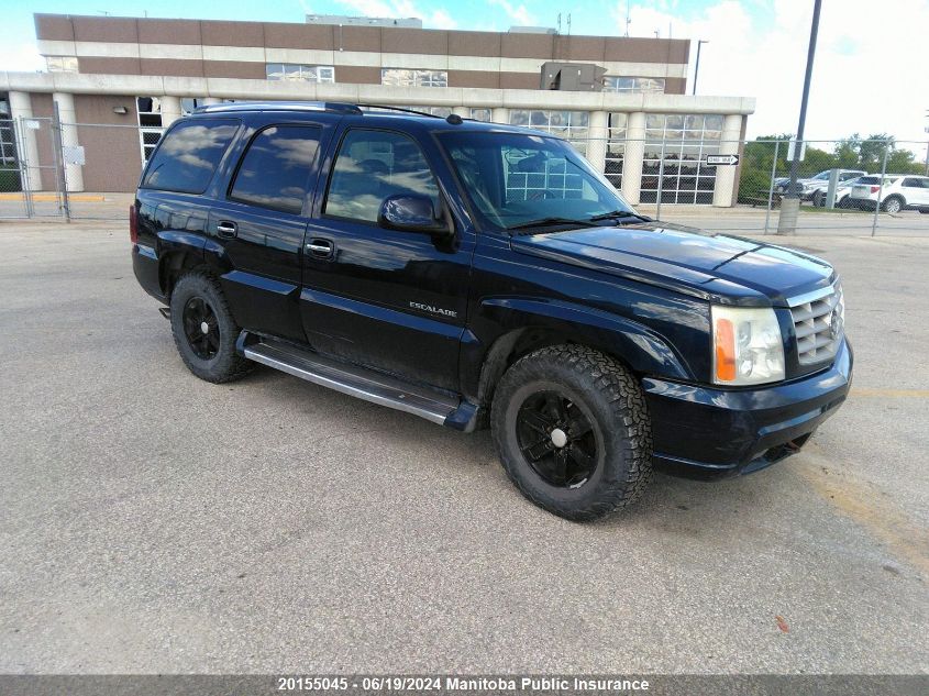 2004 Cadillac Escalade VIN: 1GYEK63N54R194479 Lot: 20155045