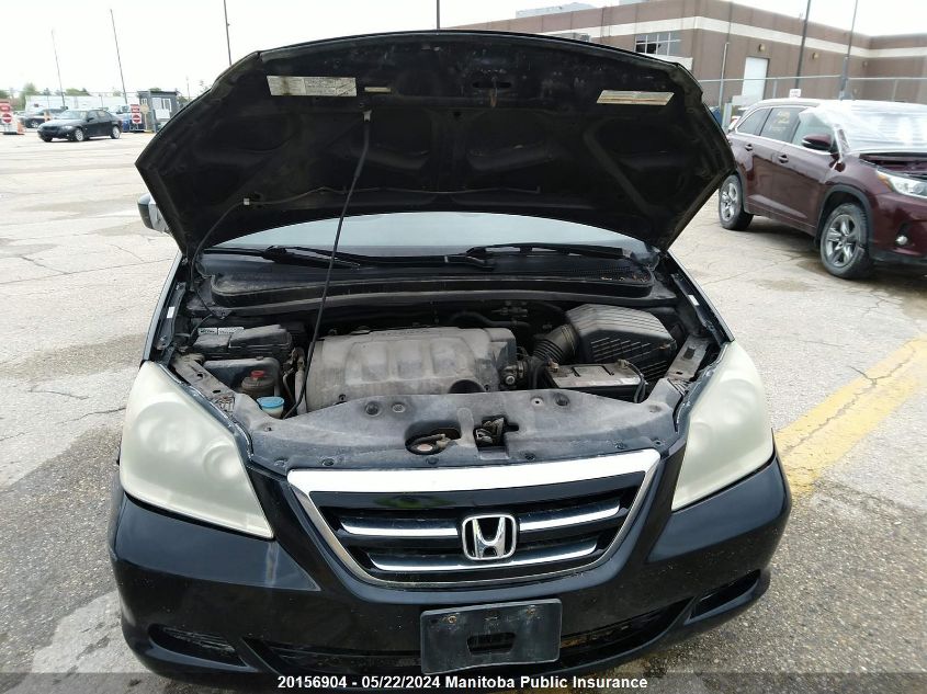 2005 Honda Odyssey Ex-L VIN: 5FNRL38675B502604 Lot: 20156904