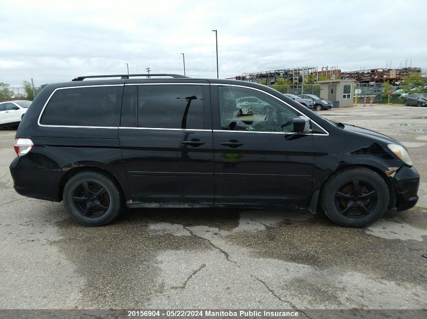 2005 Honda Odyssey Ex-L VIN: 5FNRL38675B502604 Lot: 20156904